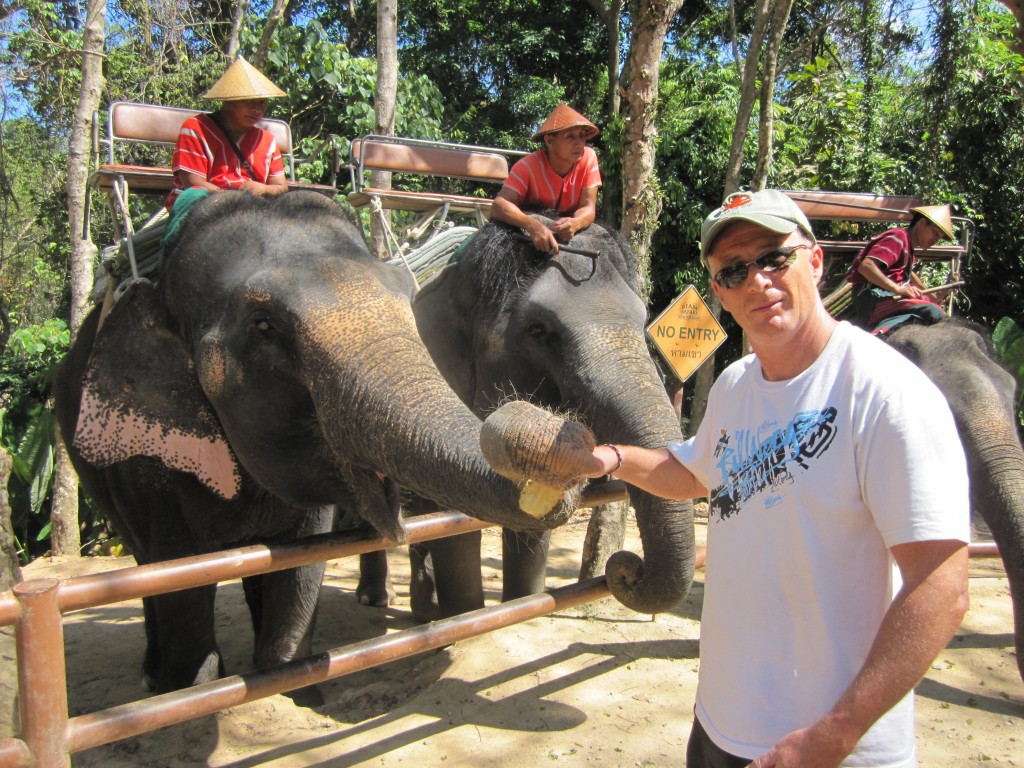 Siam Safari elephant ride