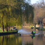 Rowing on the Wey Navigation at Millmead, Guildford