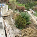 The Garden