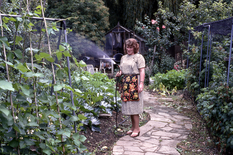 Pat watering beans_1988